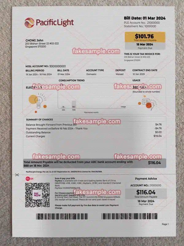 Singapore Utility Bill Fake Template