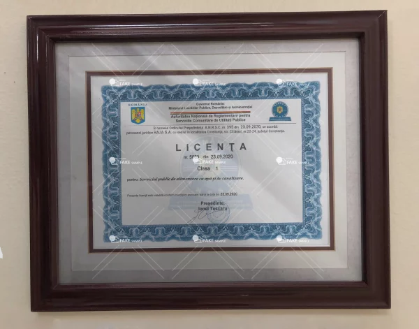 Romania Business Licenses & Permits Fake Template