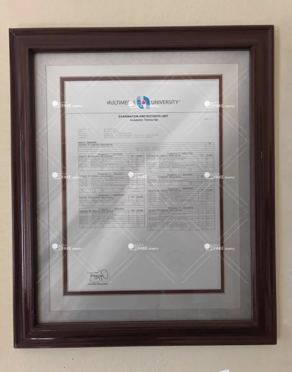 Multimedia (Transcript) Degree Certificate Fake Template